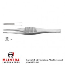 Strassburger Modell Dissecting Forceps 1 x 2 Teeth Stainless Steel, 15 cm - 6" 